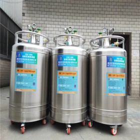 自增压液氮容器 YDZ-1000W卧式增压液氮罐 补氮低温杜瓦罐可定制