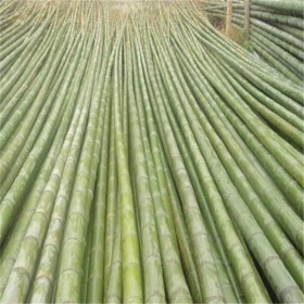 竹厂家批发定做楠竹毛竹碳化竹片 规格可定做 量大价优