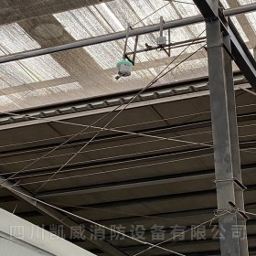 10L消防水炮 厂家销售5L水炮厂家直销
