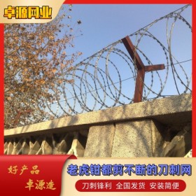 学校蛇腹型刺网 机场钢丝网防护网 别墅家用刀片刺绳