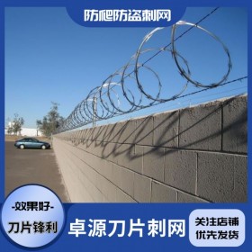 防盗网 四川刀片刺绳 围墙防护网 刺丝滚笼 刺铁丝