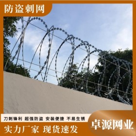 卓源镀锌刀片刺网  刺绳  刺丝滚笼  围墙带刺铁丝网  钢丝防爬防盗网