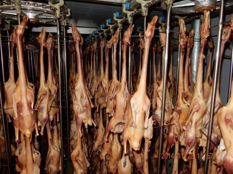 肉制品烘干机